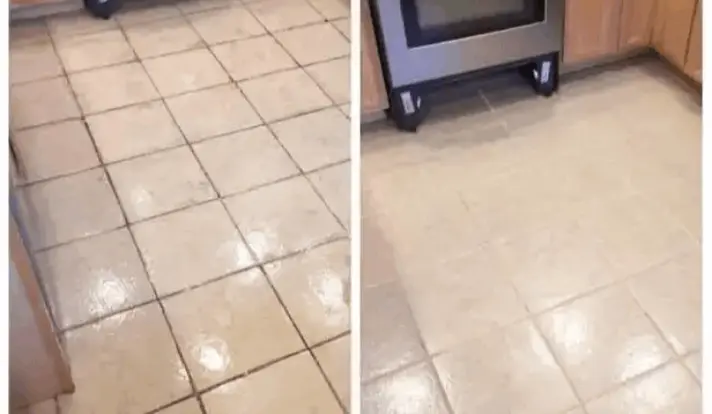 Synoshi Pro customer review Olivia W